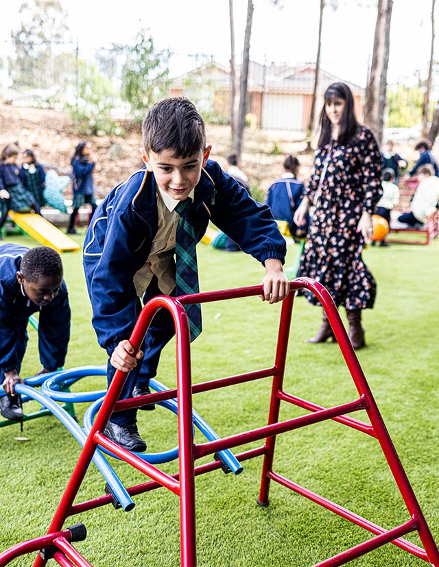 Teaching excellence at St Francis of Assisi Glendenning