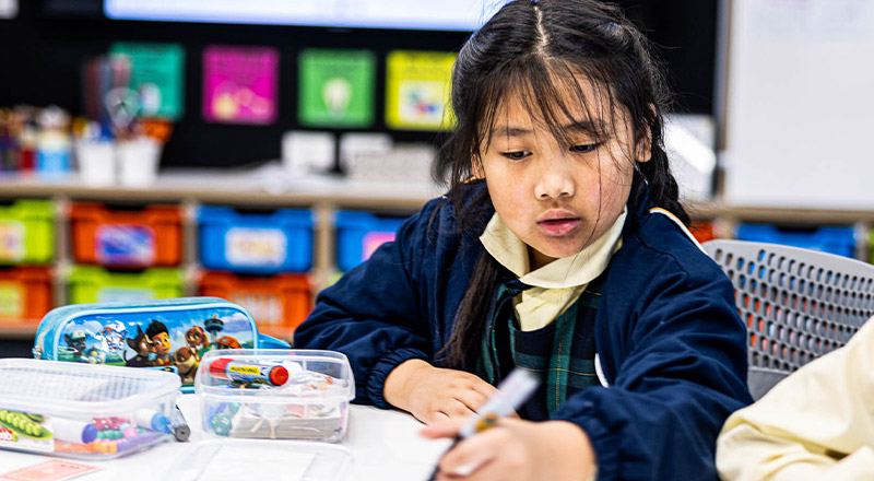Student at desk at St Francis of Assisi Catholic Primary School Glendenning